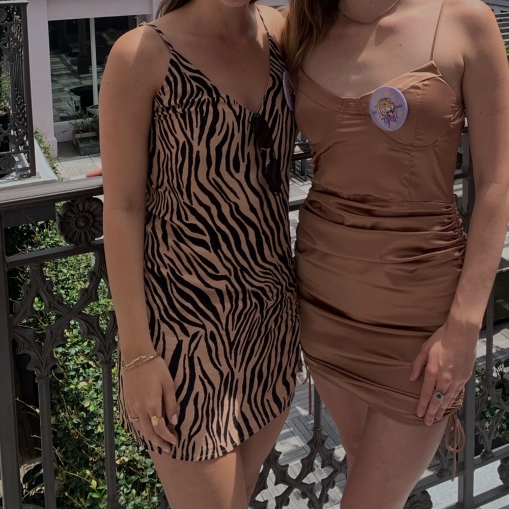 Blu Spero Tiger Stripe Mini Dress